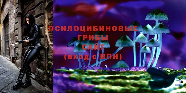 MDMA Армянск
